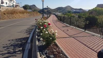 Rosen entlang der Verbindungsstrasse von Mojacar Pueblo zu Mojacar Playa Rosen entlang der Verbindungsstrasse von Mojacar Pueblo zu Mojacar Playa