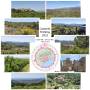 20220607_cambrils_fruehling_2022.jpg